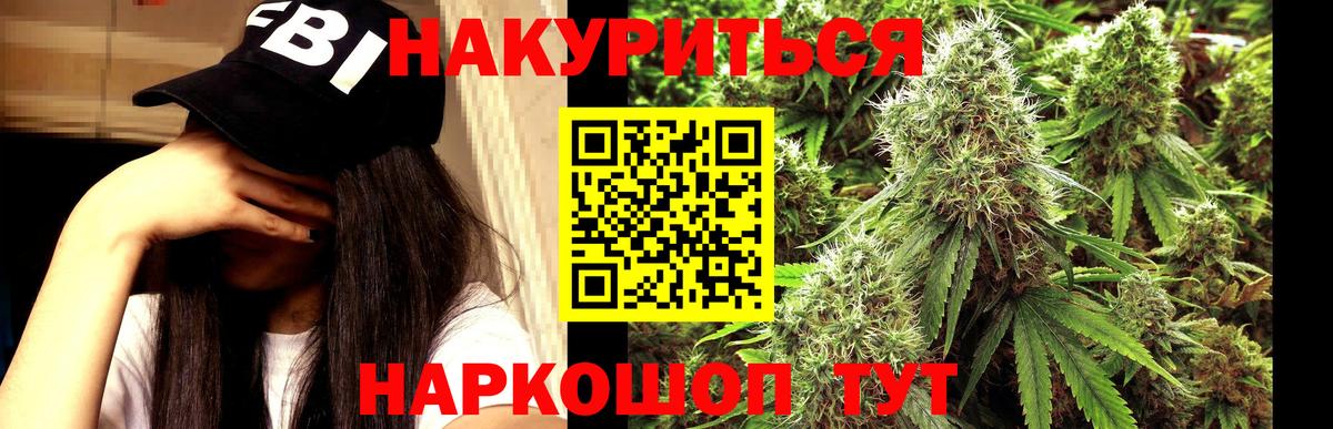 Канабис ГИДРОПОН Узловая